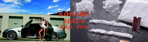 mdpv Дмитров