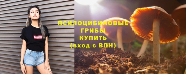 mdpv Дмитров