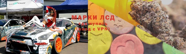 spice Белая Холуница